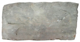 "пальчатка" з відбитками курячих лап